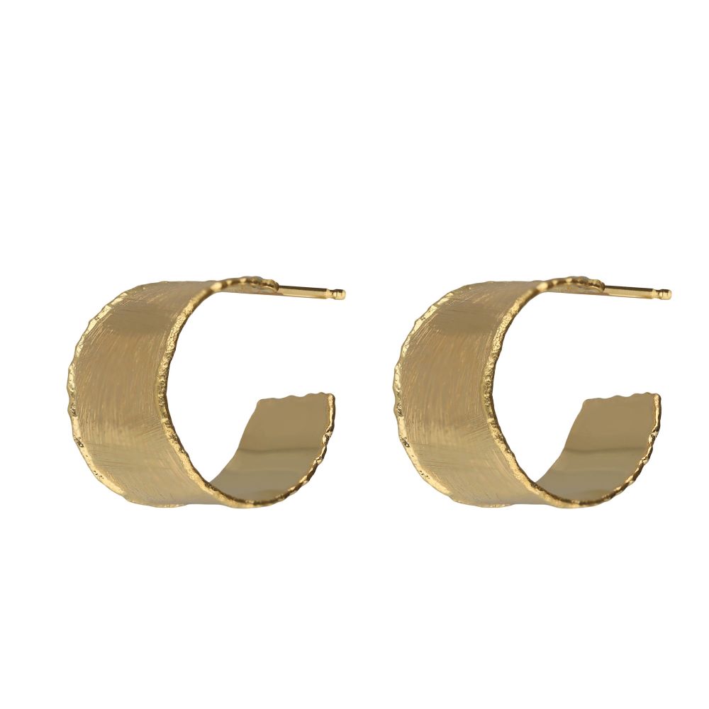 Σκουλαρίκια Victoria Cruz από επιχρυσωμένο ασήμι 925° A5577-DT